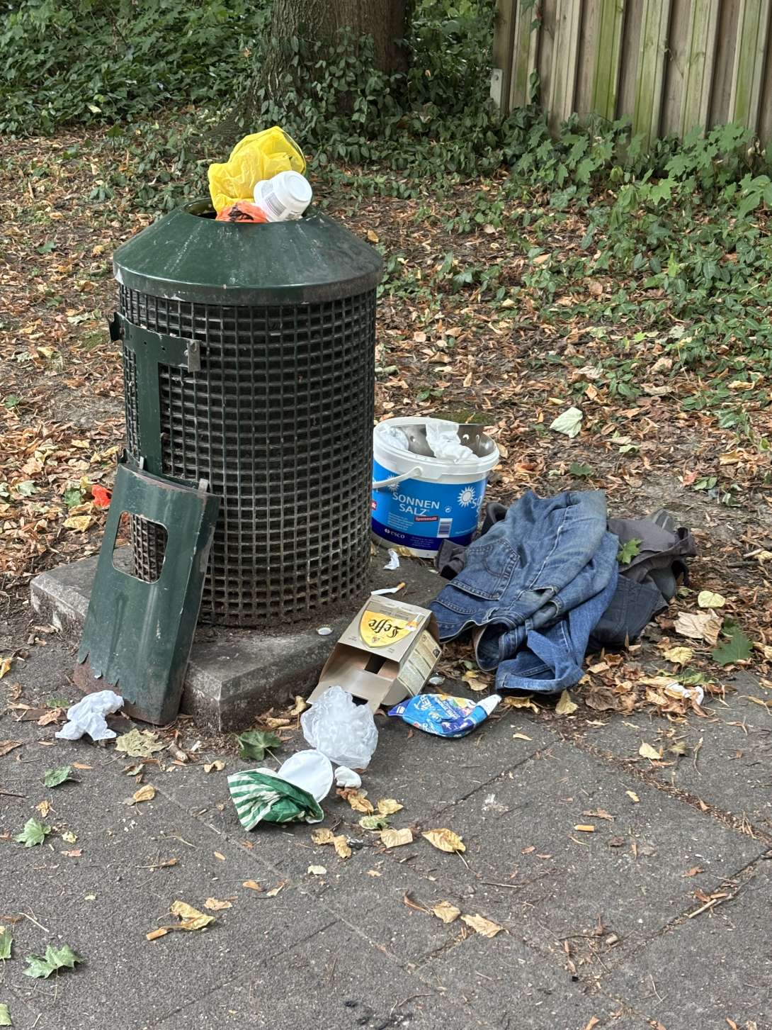Bild zu gemeldetem Anliegen vom *2025-08-18 10:13:10