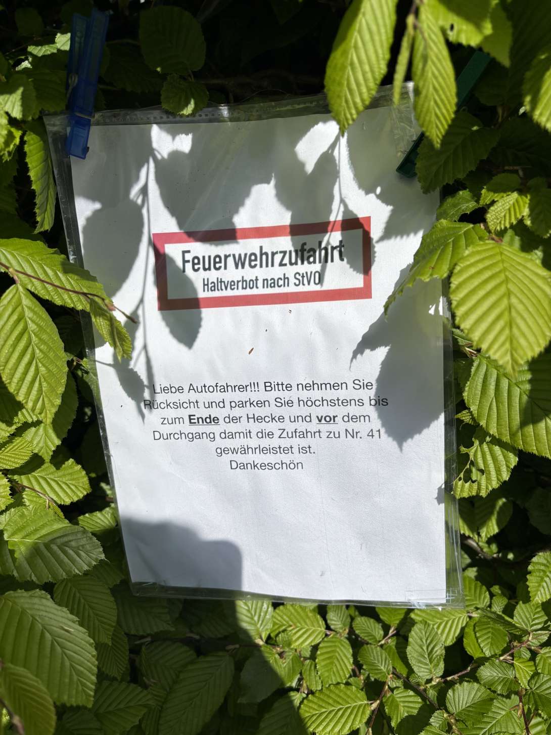Bild zu gemeldetem Anliegen vom *2025-08-29 09:32:41
