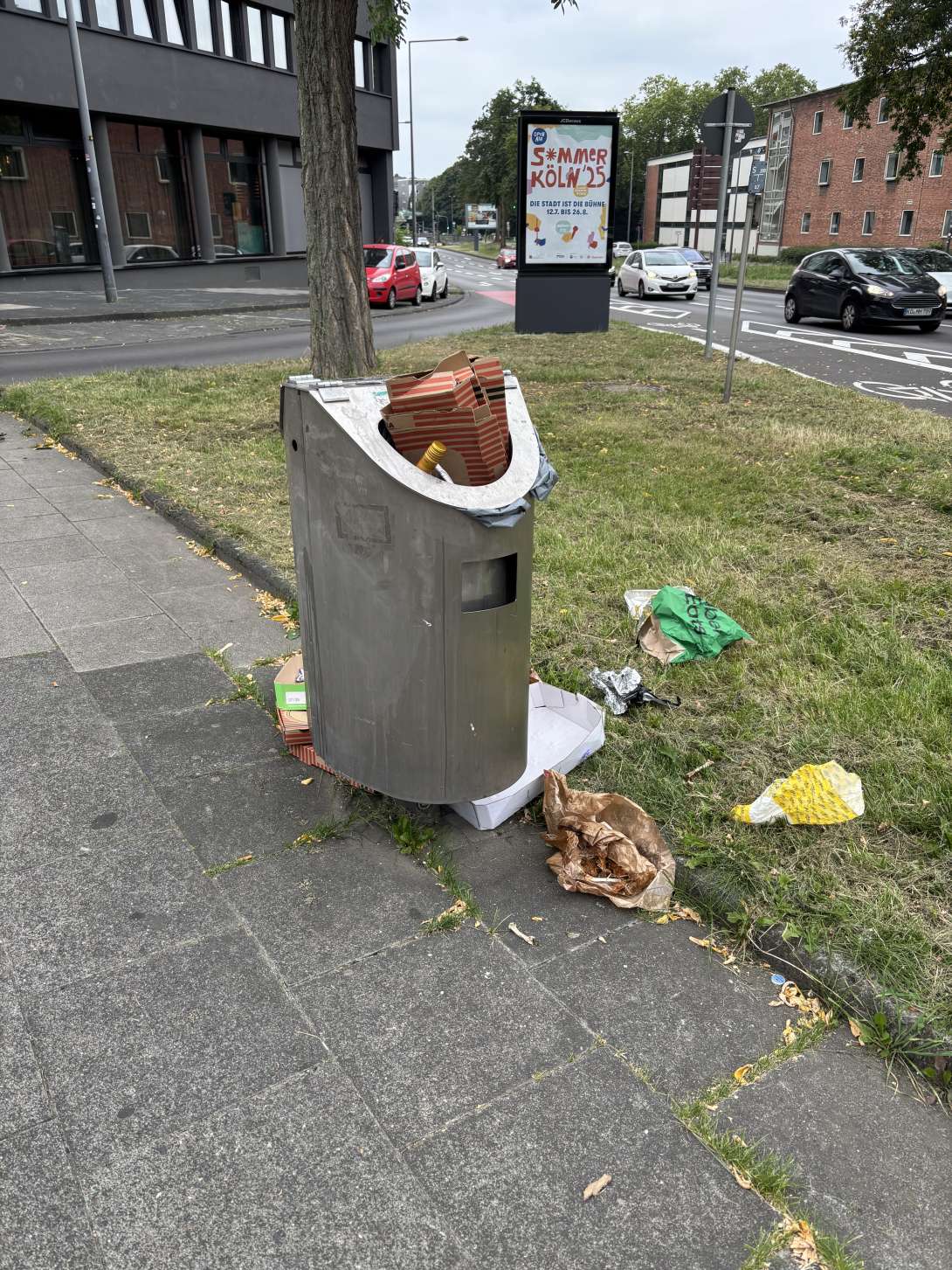 Bild zu gemeldetem Anliegen vom *2025-08-18 10:08:46