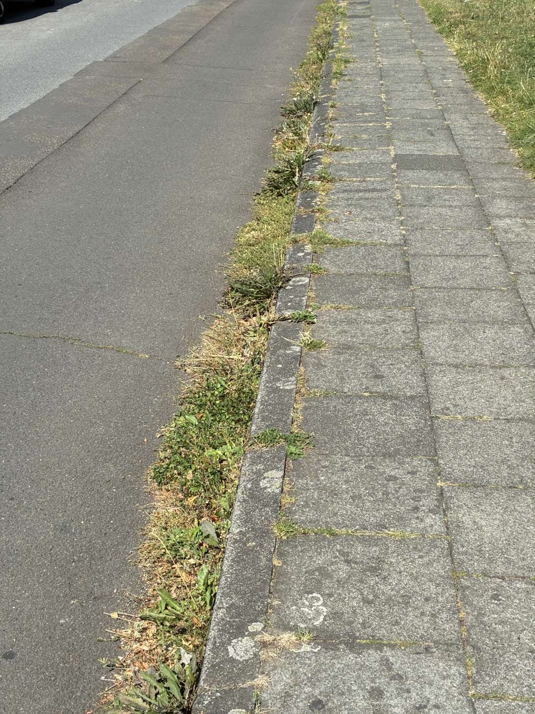 Bild zu gemeldetem Anliegen vom *2025-08-26 13:44:06