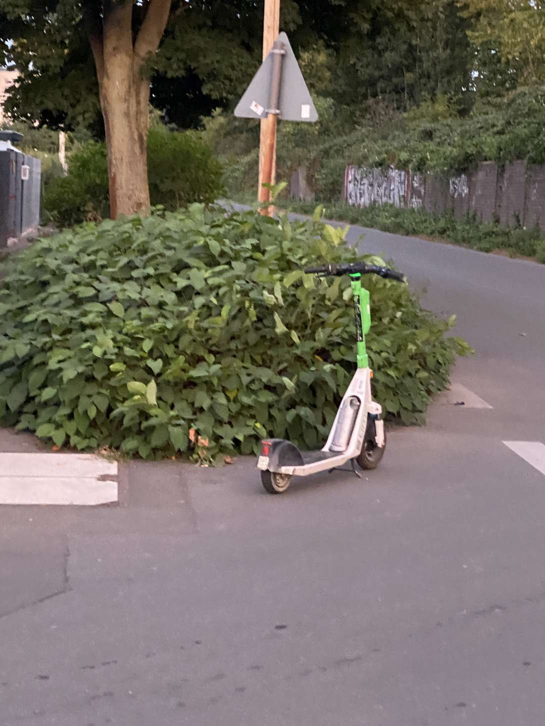 Bild zu gemeldetem Anliegen vom *2025-08-20 21:11:15