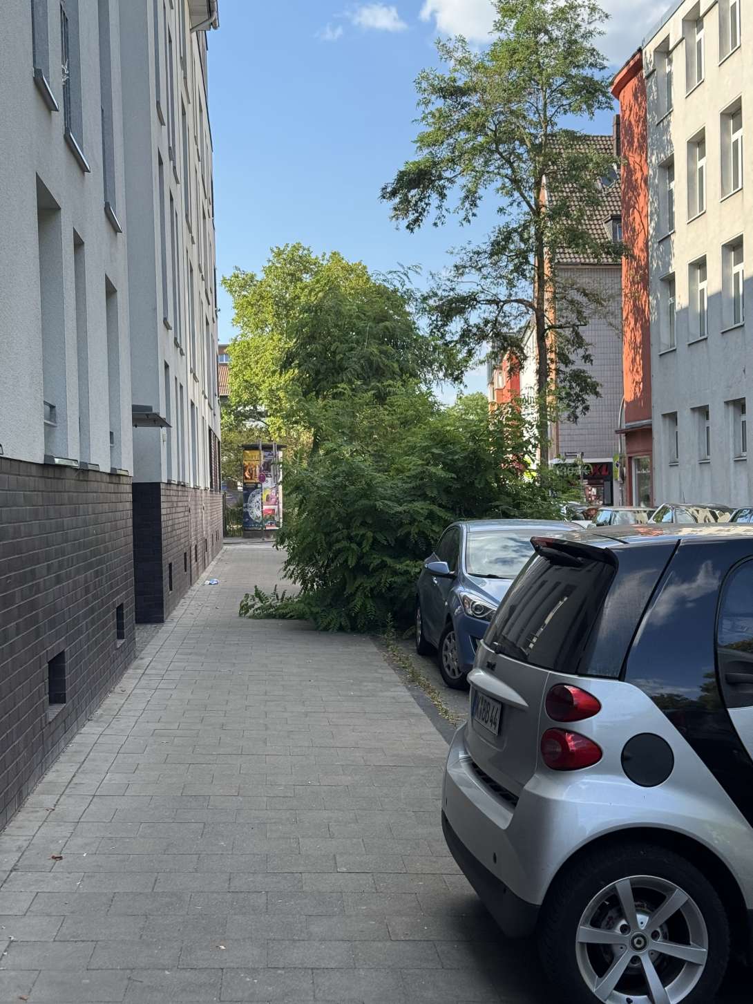 Bild zu gemeldetem Anliegen vom *2025-08-21 17:00:52