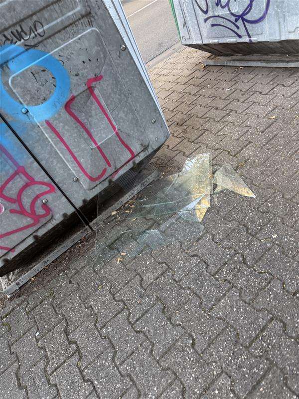 Bild zu gemeldetem Anliegen vom *2025-08-26 08:38:26