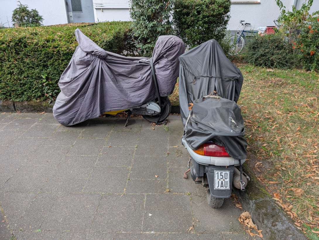 Bild zu gemeldetem Anliegen vom *2025-08-22 15:32:04