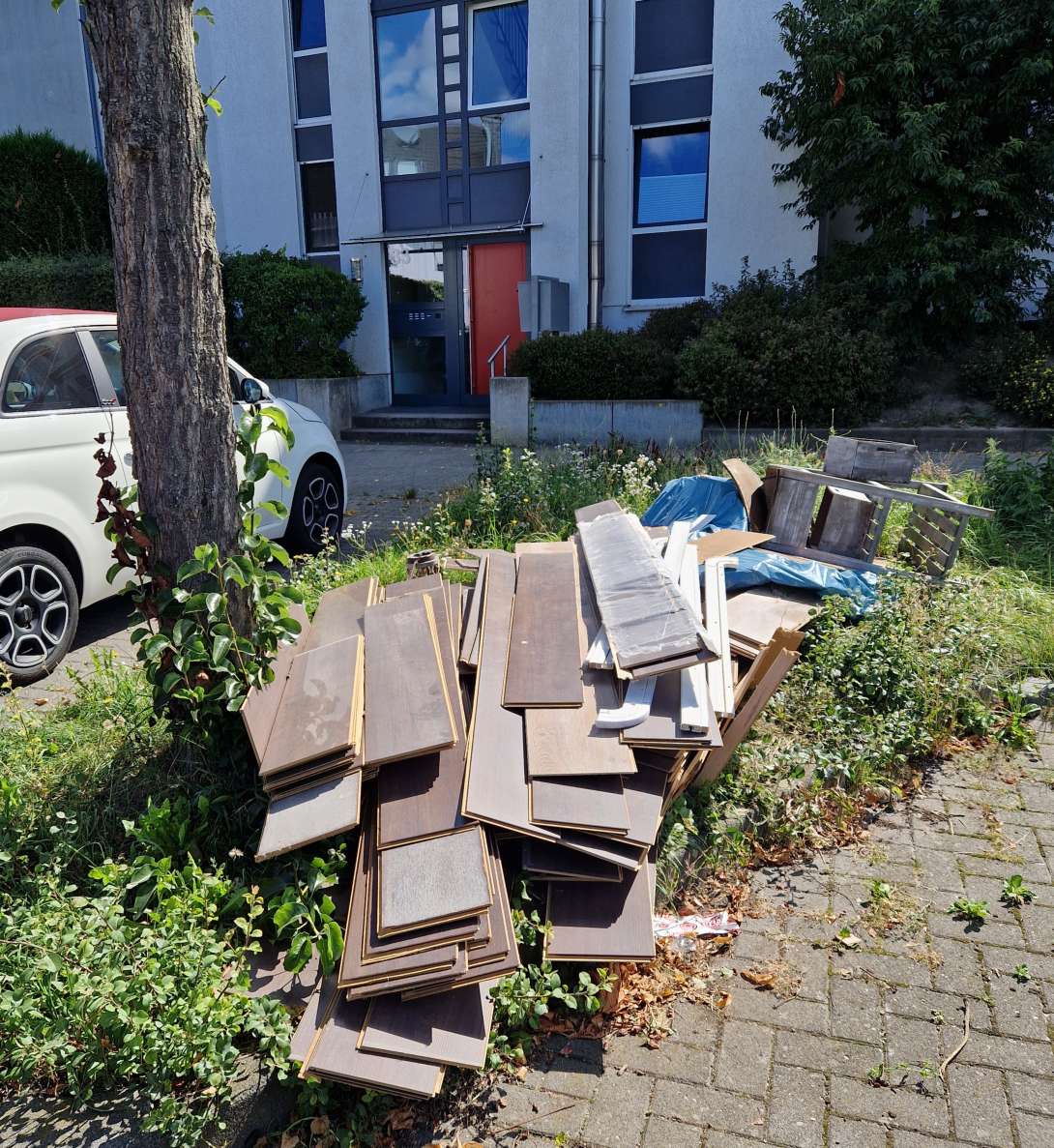 Bild zu gemeldetem Anliegen vom *2025-08-18 16:08:07