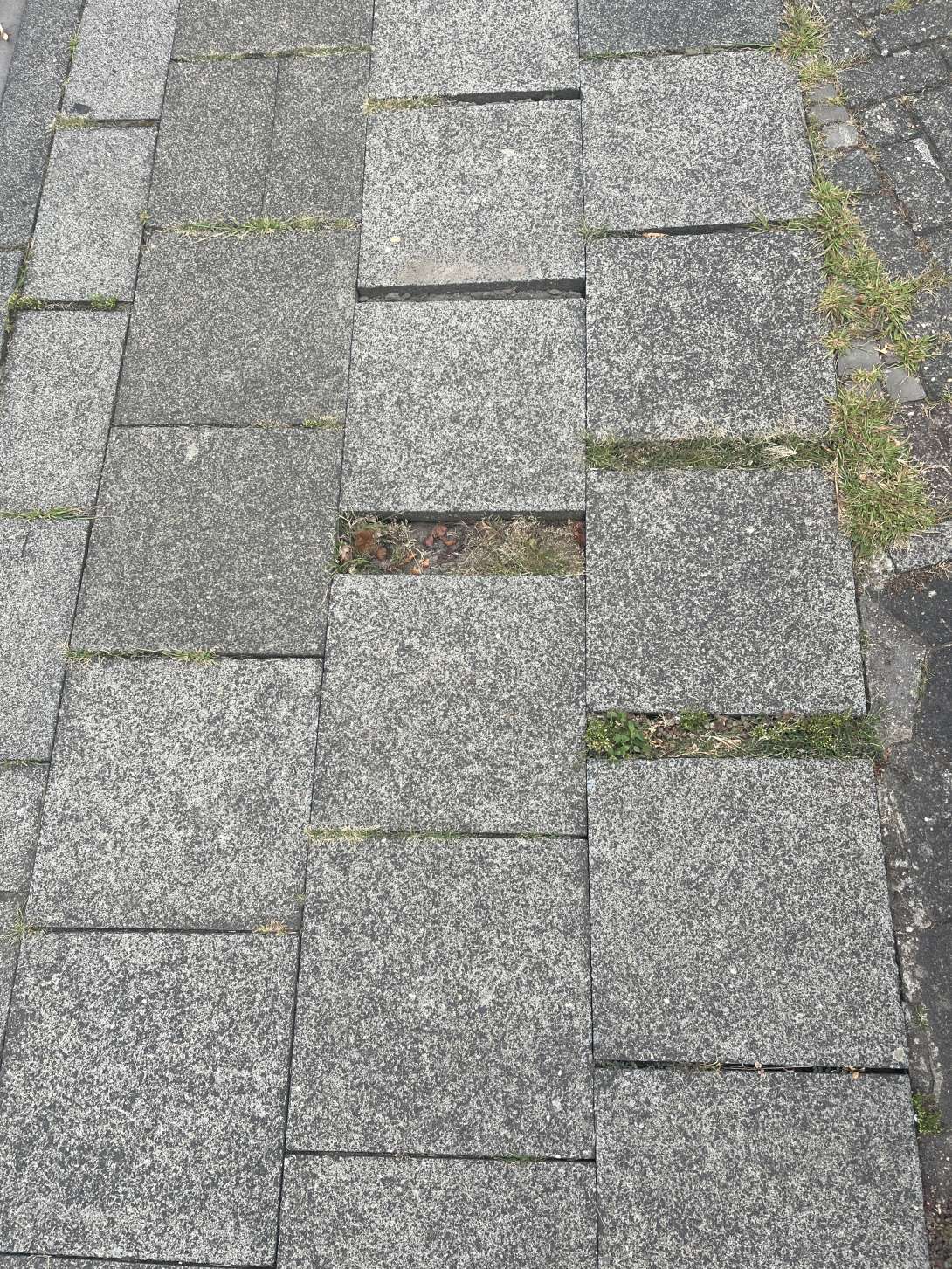 Bild zu gemeldetem Anliegen vom *2025-08-28 07:36:19