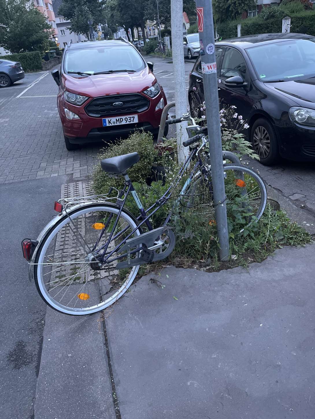 Bild zu gemeldetem Anliegen vom *2025-08-02 18:31:16