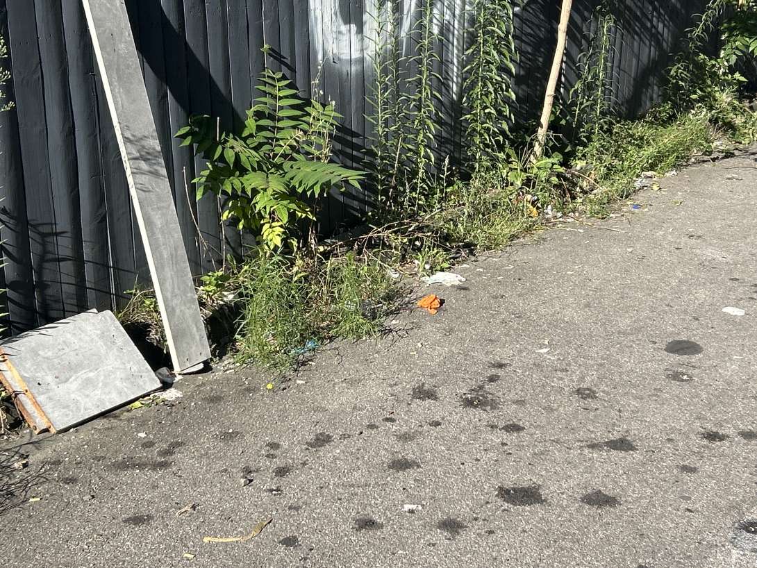 Bild zu gemeldetem Anliegen vom *2025-08-18 15:35:47