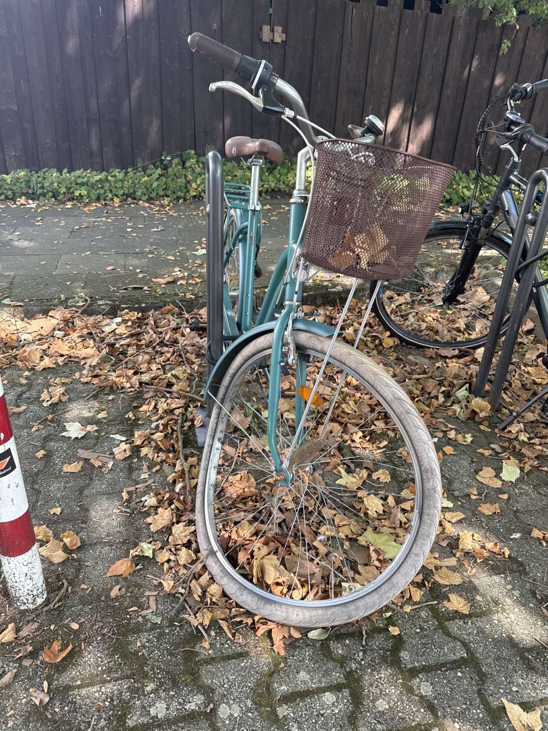 Bild zu gemeldetem Anliegen vom *2025-08-18 13:47:42