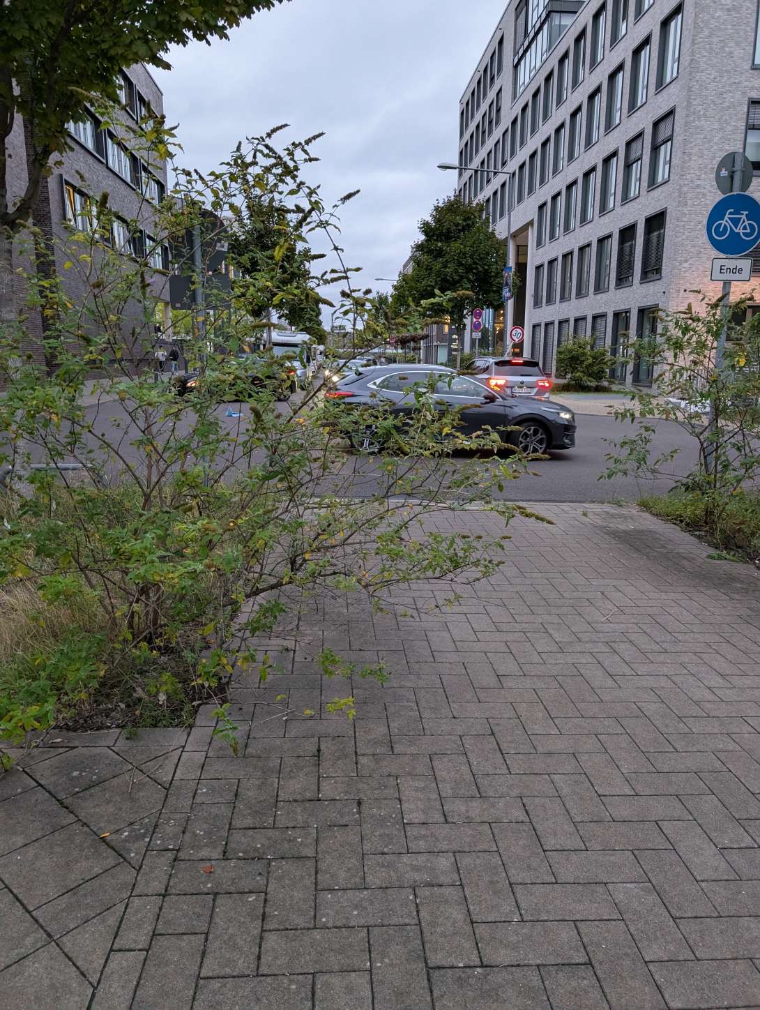 Bild zu gemeldetem Anliegen vom *2025-09-11 07:55:34