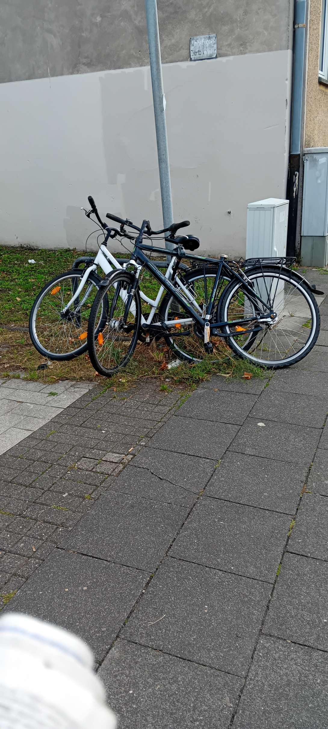 Bild zu gemeldetem Anliegen vom *2025-09-05 15:27:53
