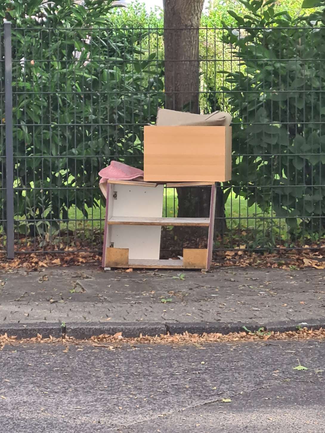 Bild zu gemeldetem Anliegen vom *2025-09-16 13:50:01