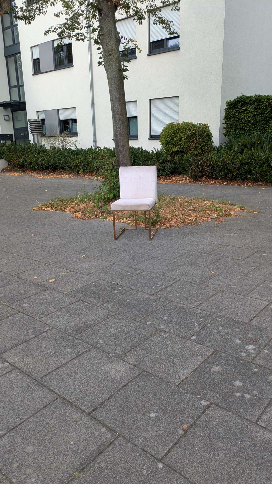 Bild zu gemeldetem Anliegen vom *2025-09-03 09:52:39