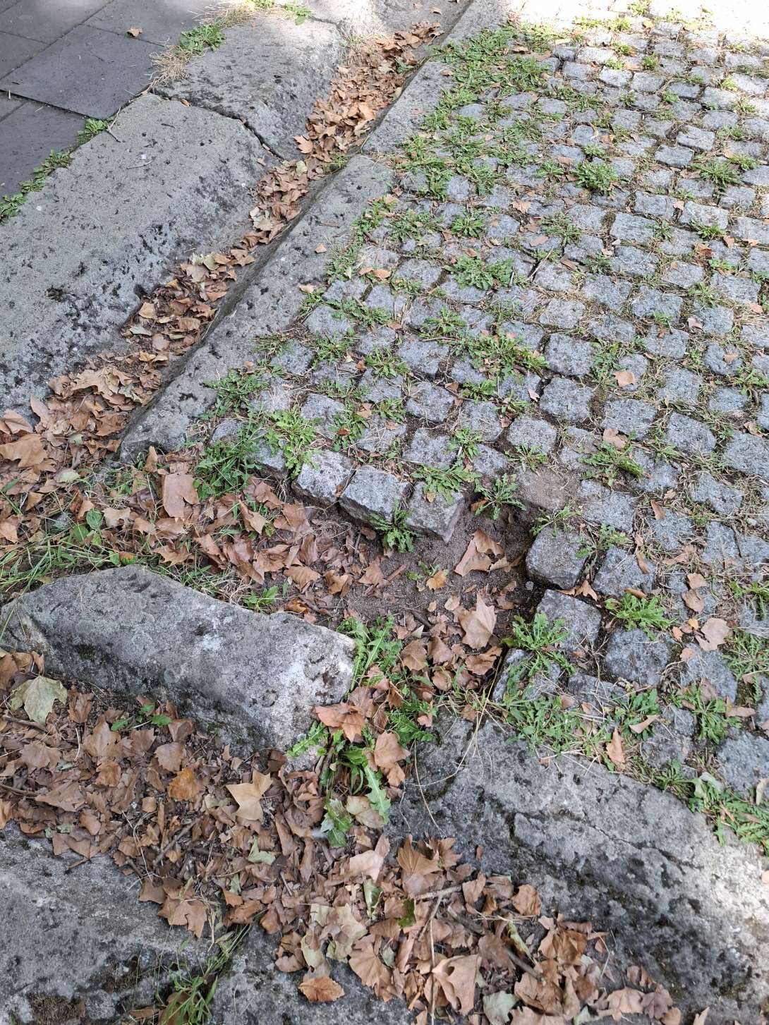 Bild zu gemeldetem Anliegen vom *2025-09-07 12:28:26