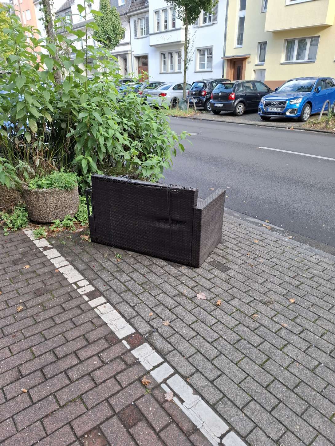 Bild zu gemeldetem Anliegen vom *2025-09-12 08:39:11