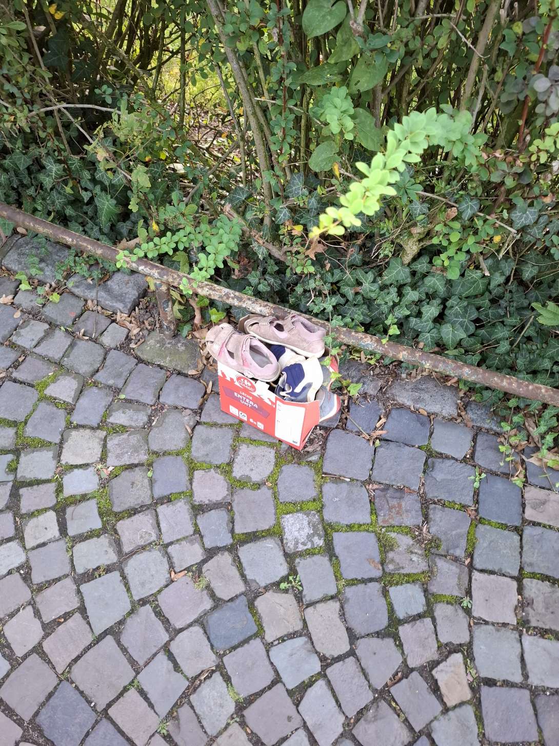 Bild zu gemeldetem Anliegen vom *2025-09-17 12:01:30