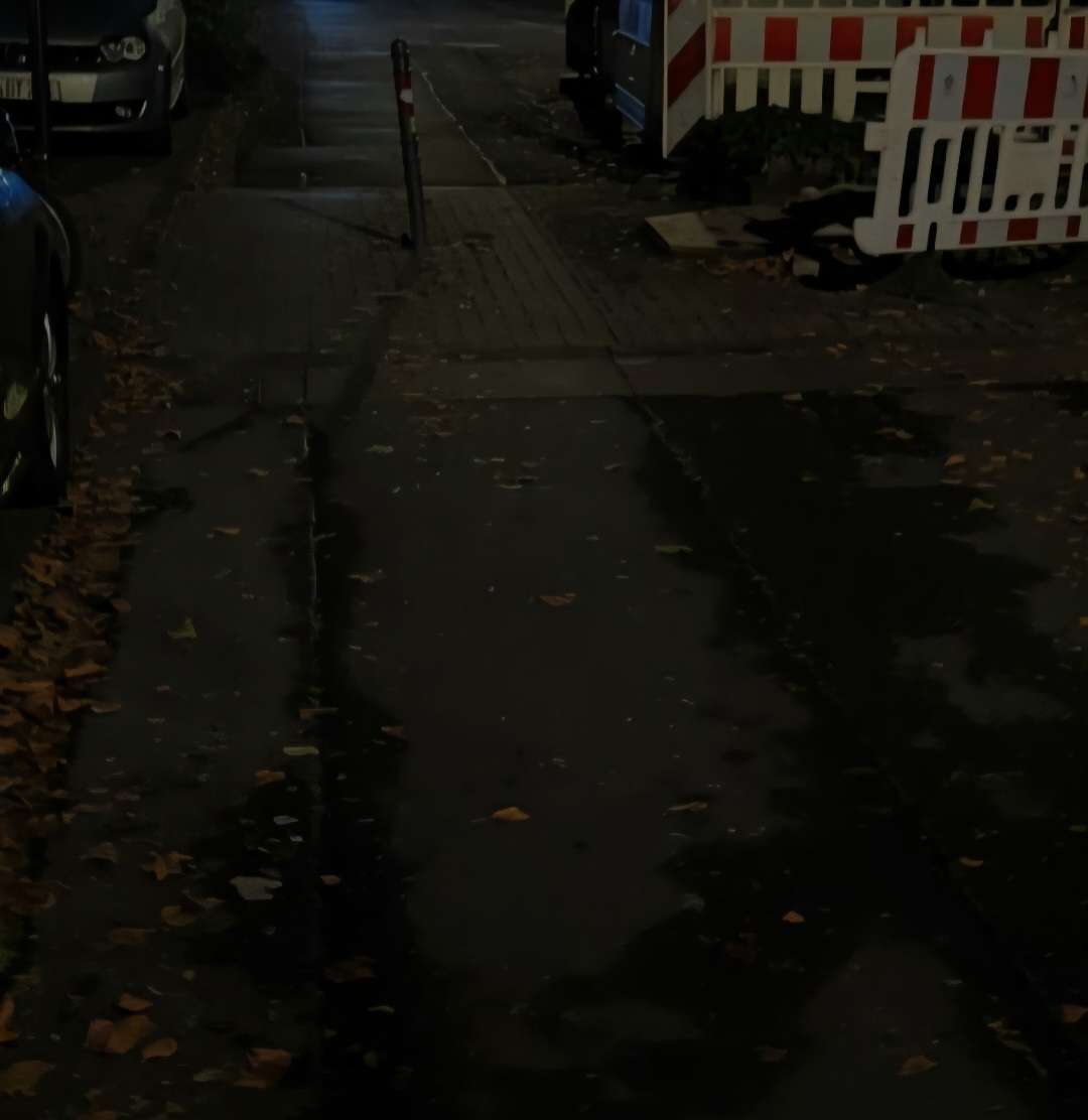 Bild zu gemeldetem Anliegen vom *2025-09-26 08:09:30