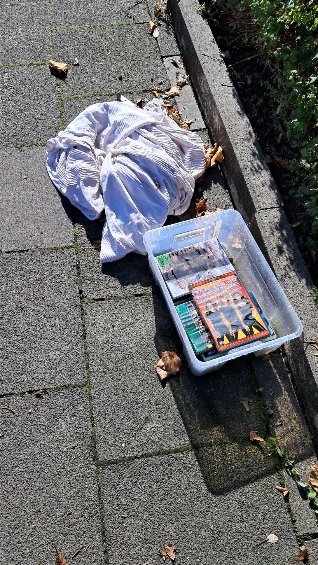 Bild zu gemeldetem Anliegen vom *2025-09-15 11:30:08