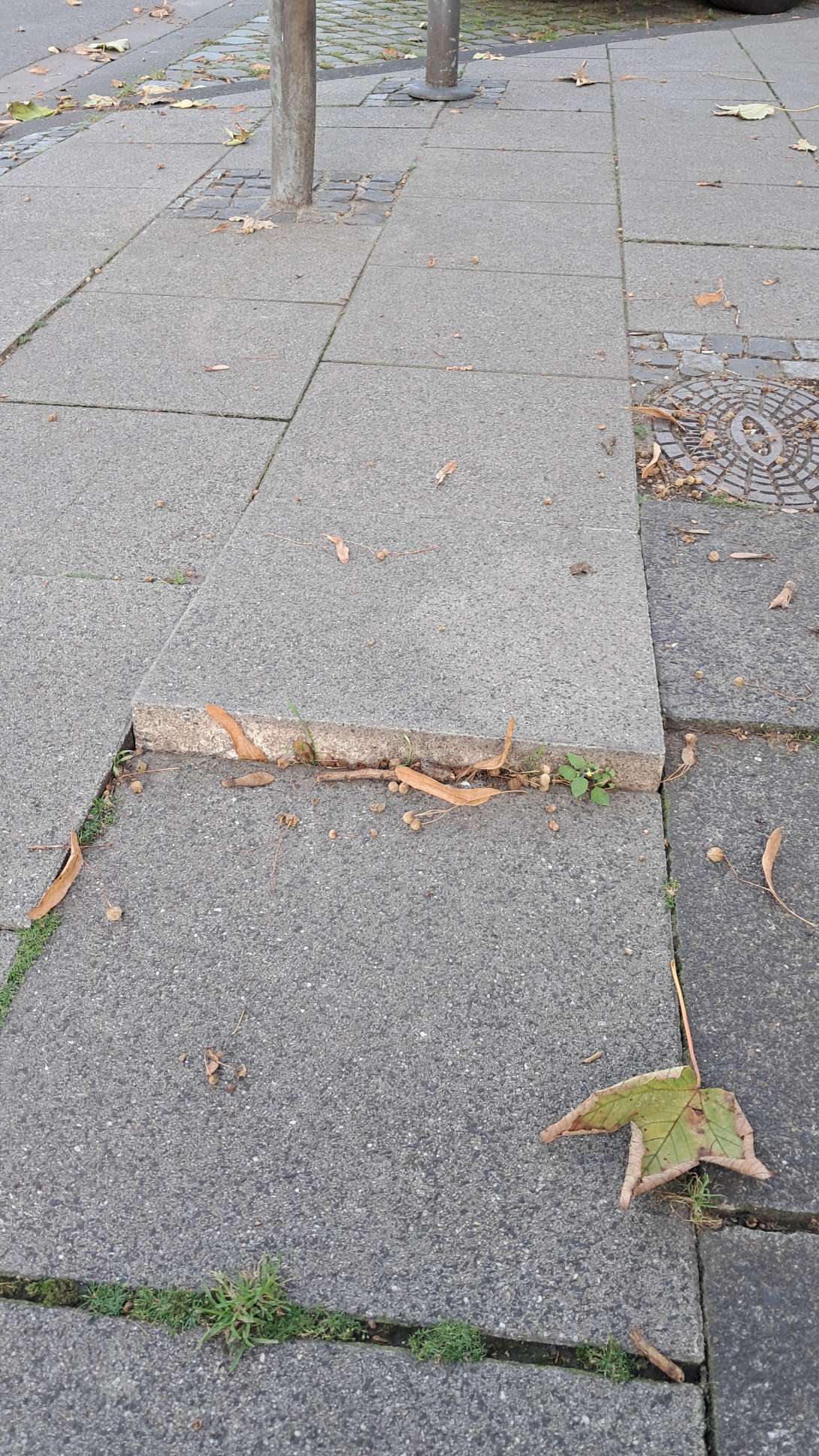 Bild zu gemeldetem Anliegen vom *2025-09-14 16:48:52