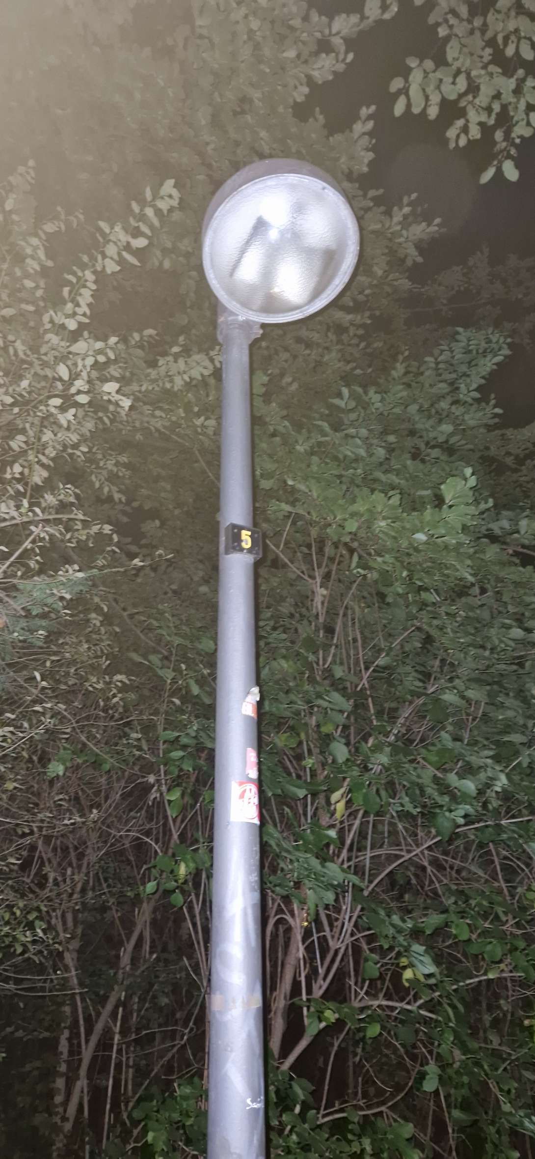Bild zu gemeldetem Anliegen vom *2025-09-17 07:32:25