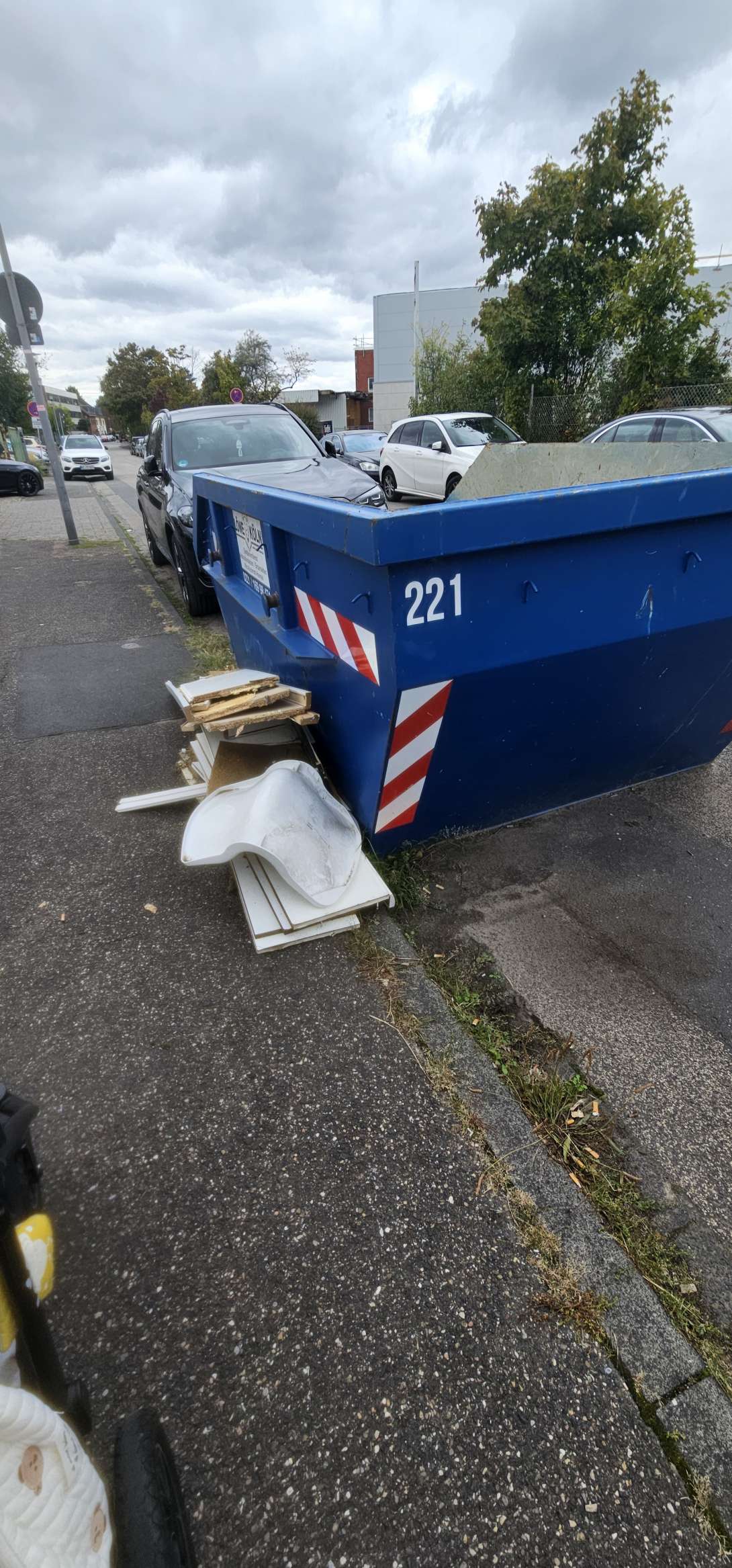 Bild zu gemeldetem Anliegen vom *2025-09-17 15:32:13