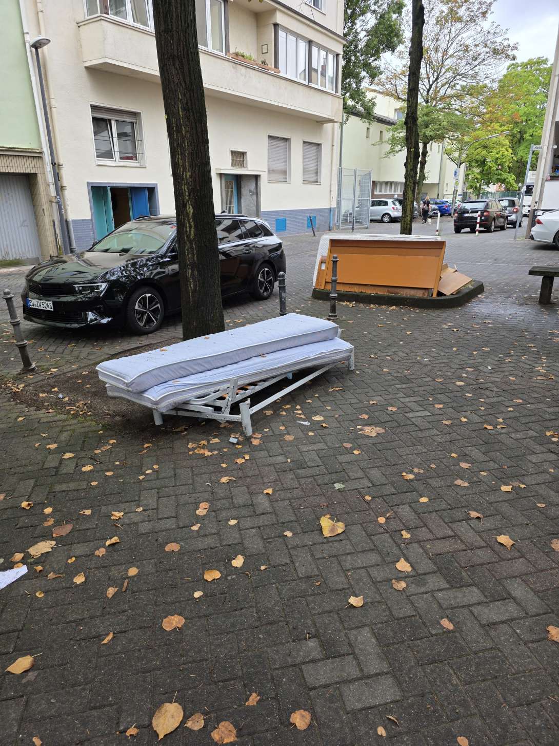Bild zu gemeldetem Anliegen vom *2025-09-01 09:28:36