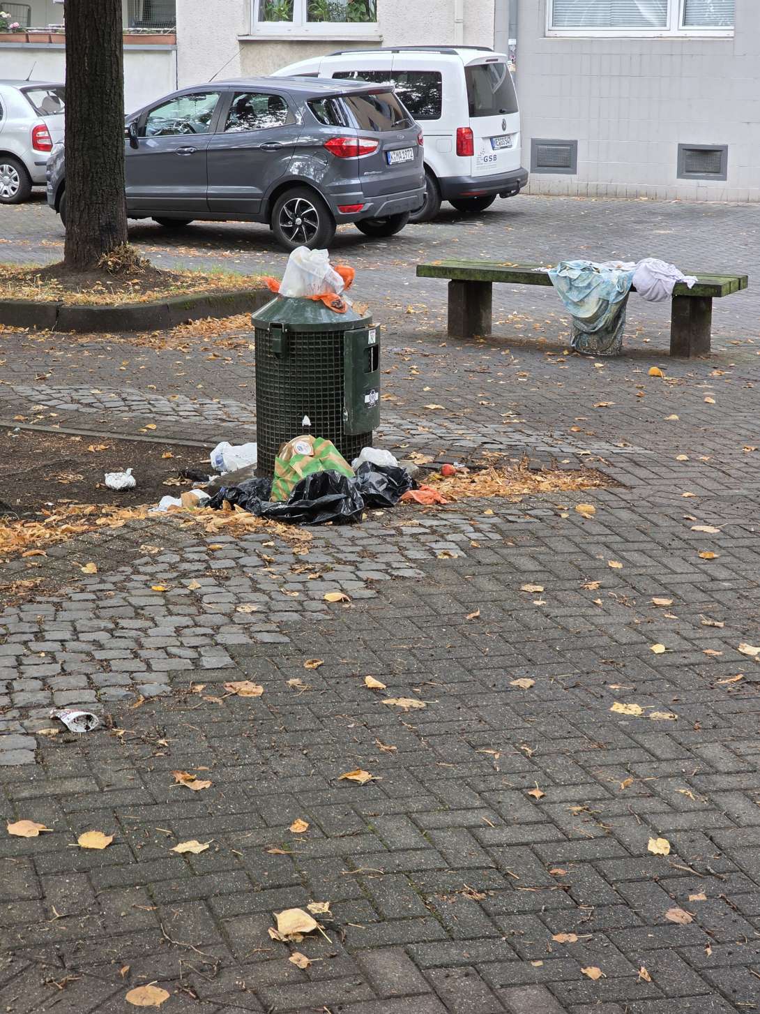 Bild zu gemeldetem Anliegen vom *2025-09-01 09:52:20