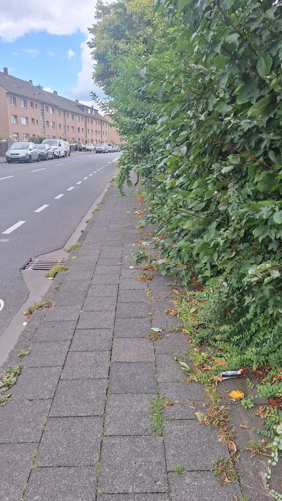 Bild zu gemeldetem Anliegen vom *2025-09-05 14:42:48