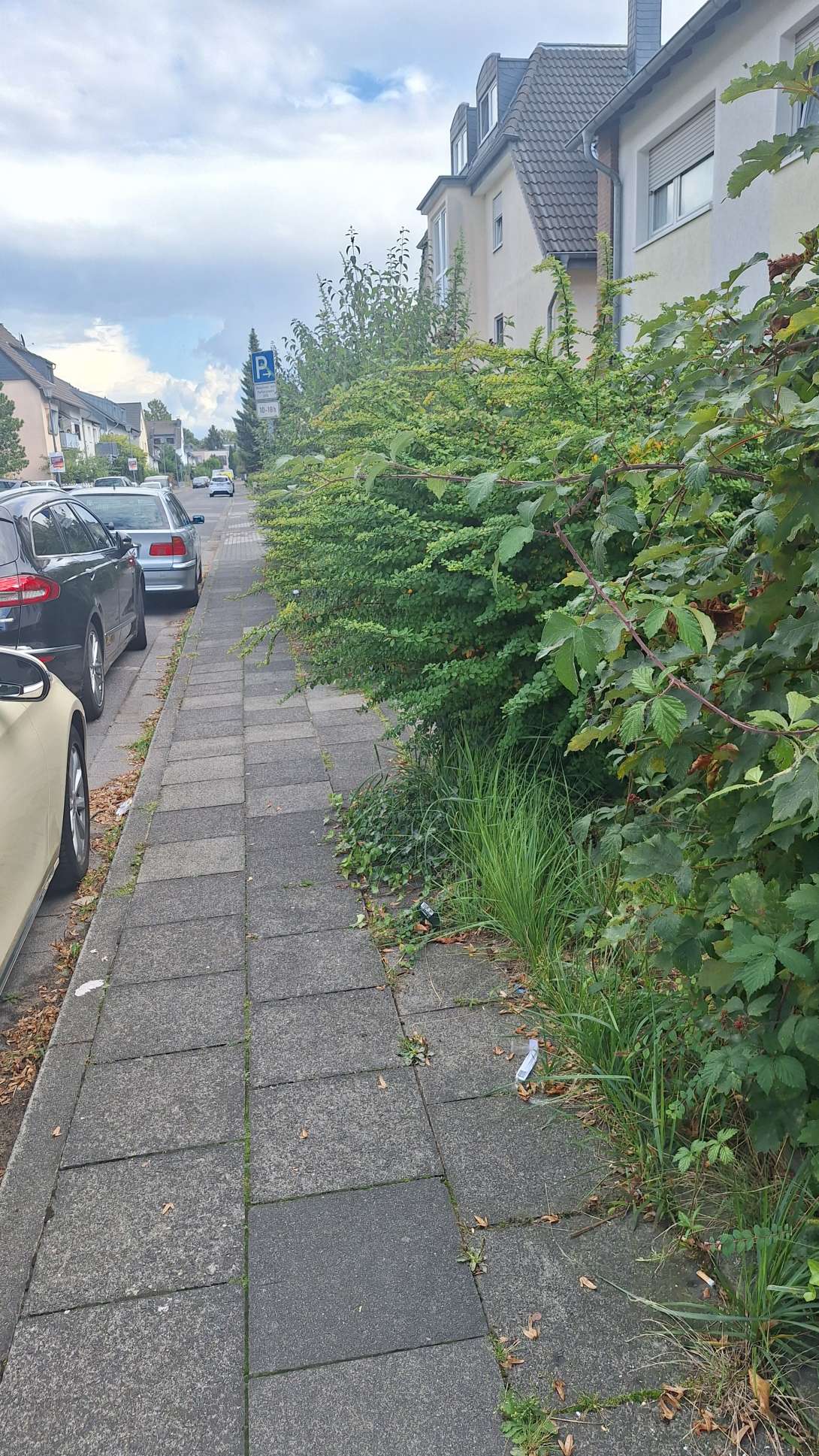 Bild zu gemeldetem Anliegen vom *2025-09-05 14:46:22