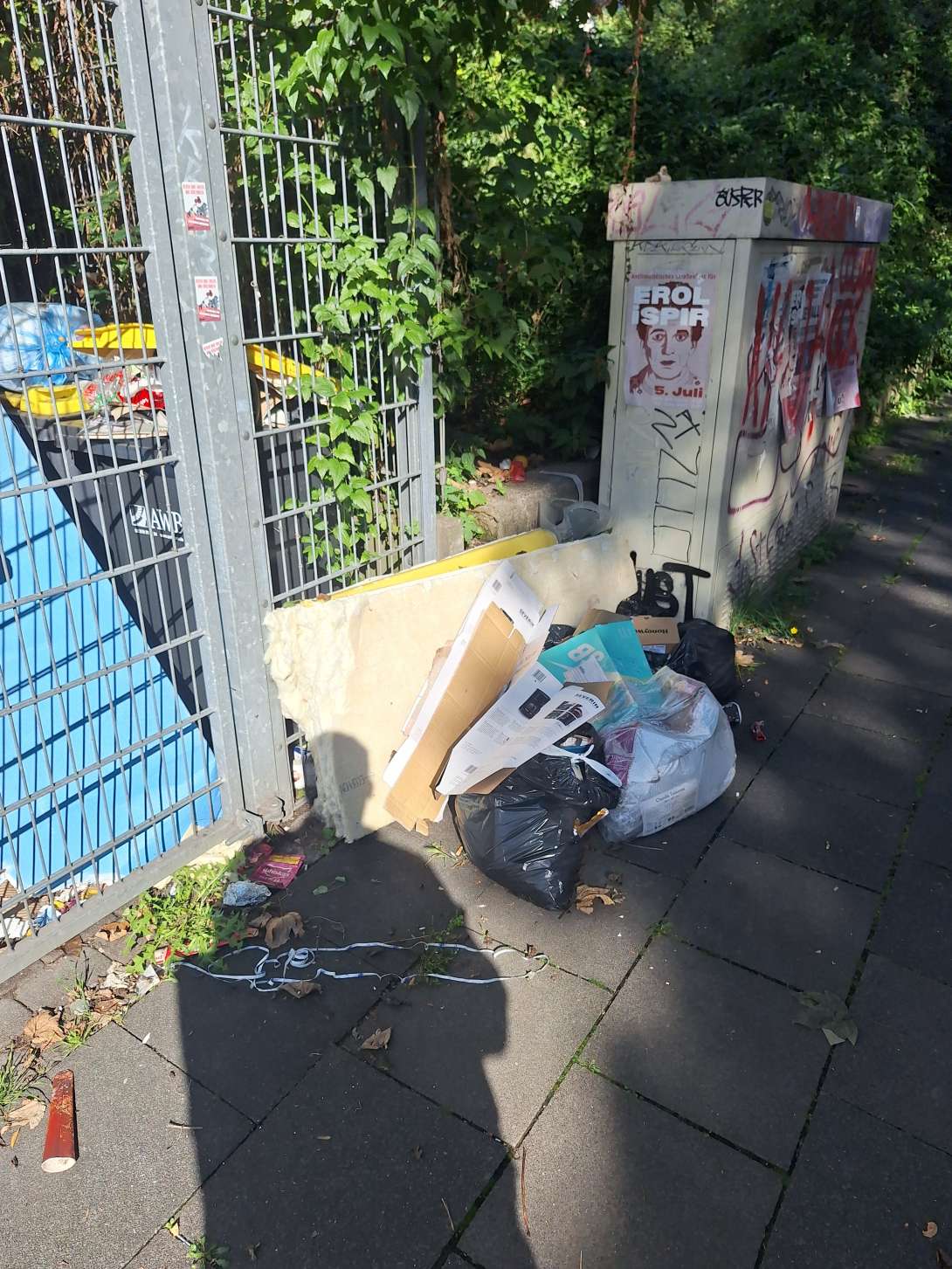 Bild zu gemeldetem Anliegen vom *2025-09-10 16:46:43
