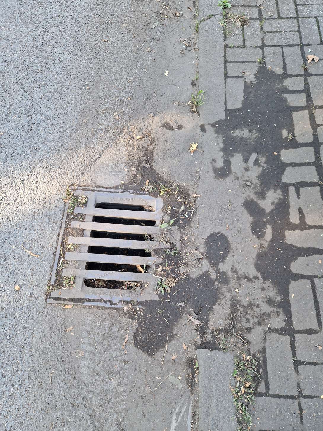 Bild zu gemeldetem Anliegen vom *2025-09-10 17:25:33