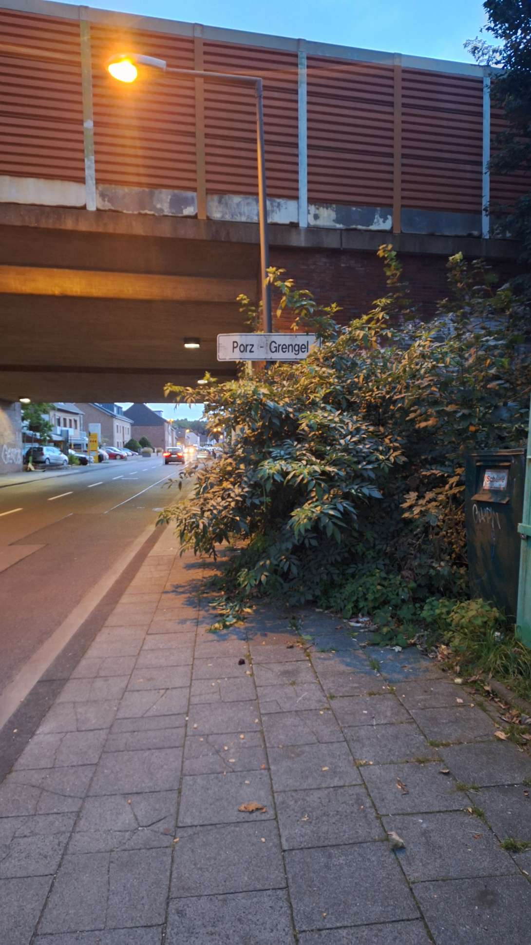Bild zu gemeldetem Anliegen vom *2025-09-11 20:01:41