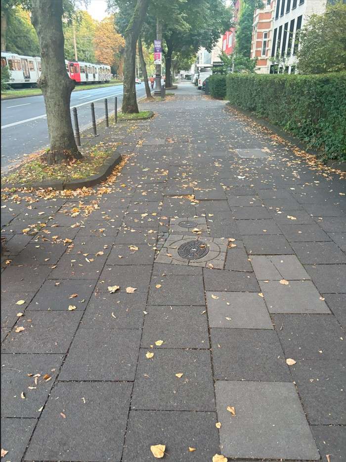 Bild zu gemeldetem Anliegen vom *2025-09-07 09:28:26