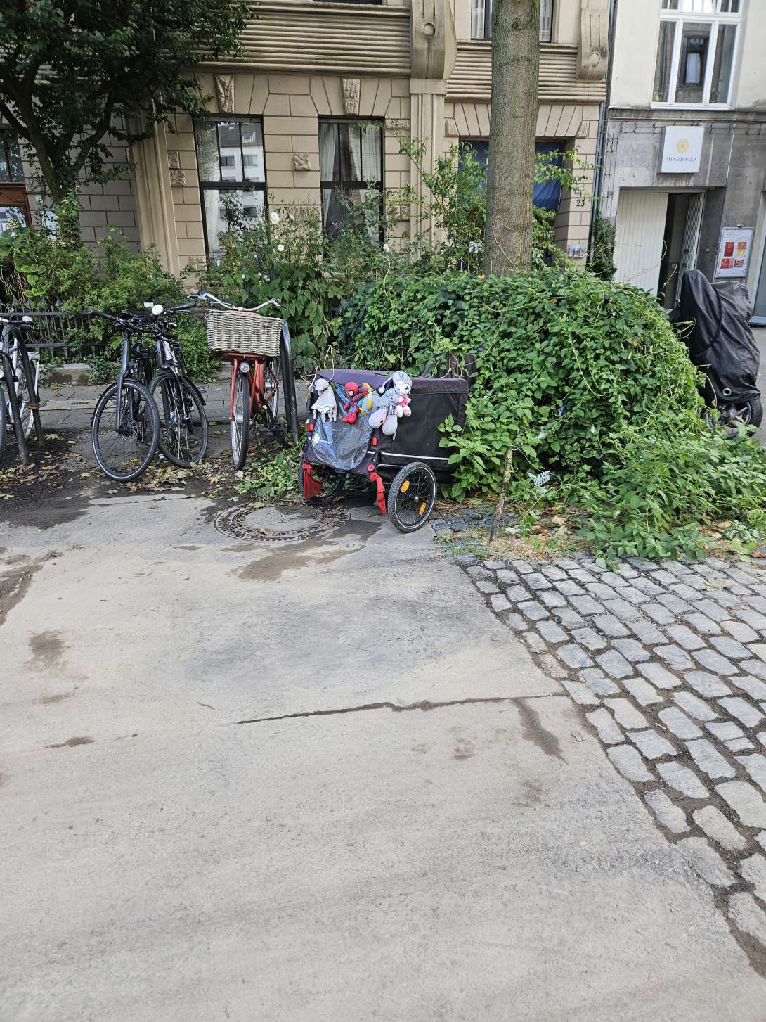 Bild zu gemeldetem Anliegen vom *2025-09-02 15:29:54