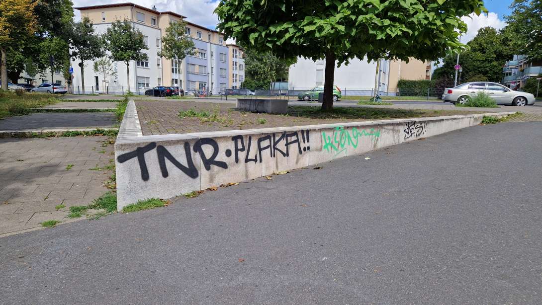Bild zu gemeldetem Anliegen vom *2025-09-03 21:33:57