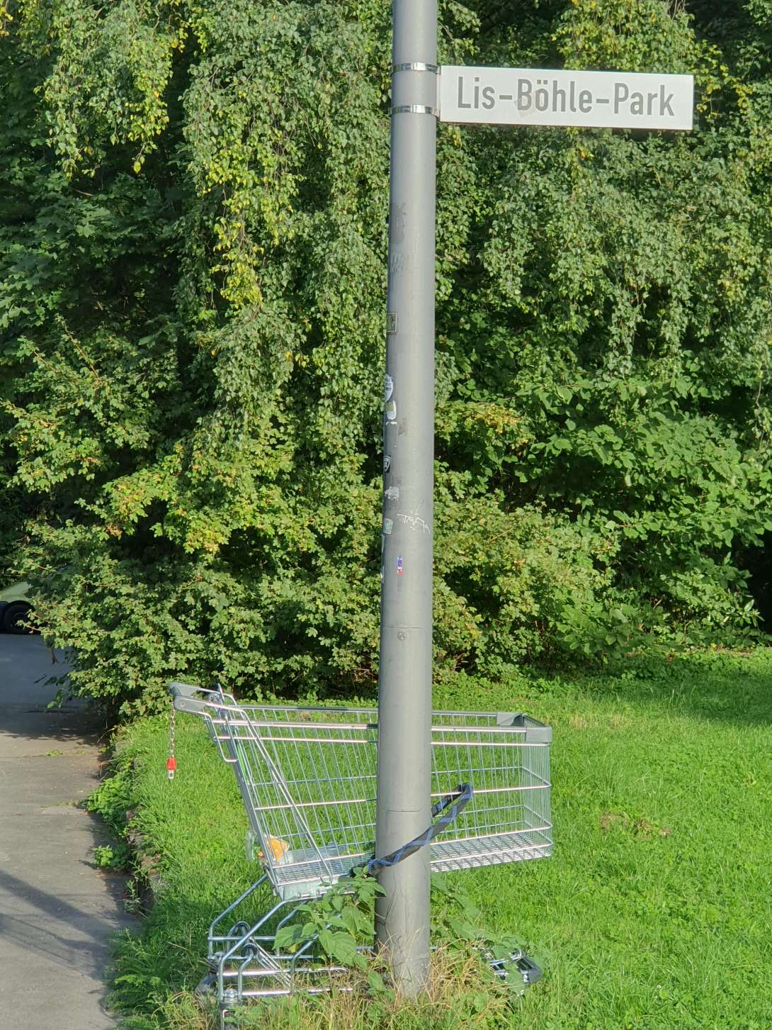 Bild zu gemeldetem Anliegen vom *2025-09-08 11:17:27