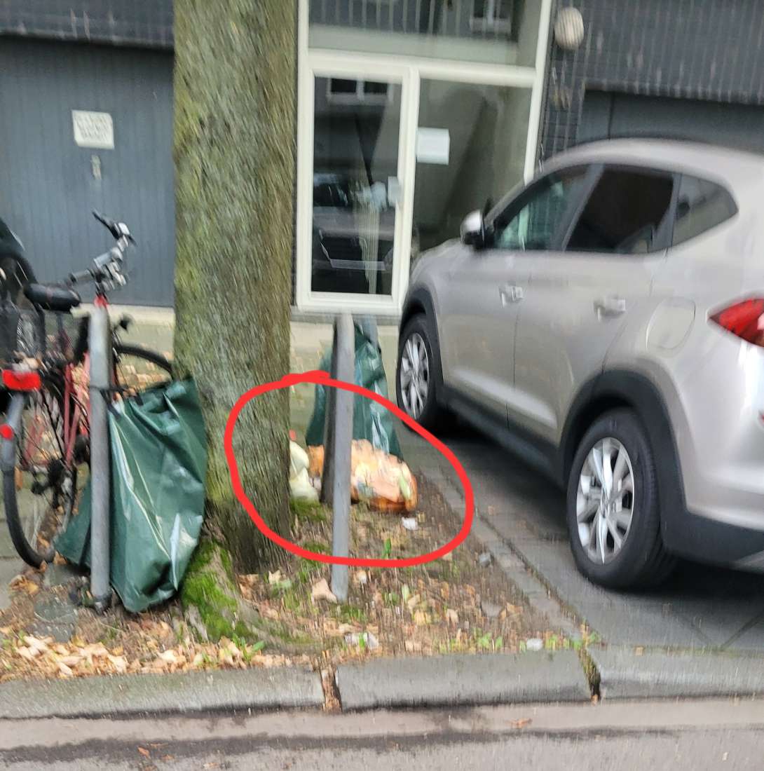Bild zu gemeldetem Anliegen vom *2025-09-10 19:13:58
