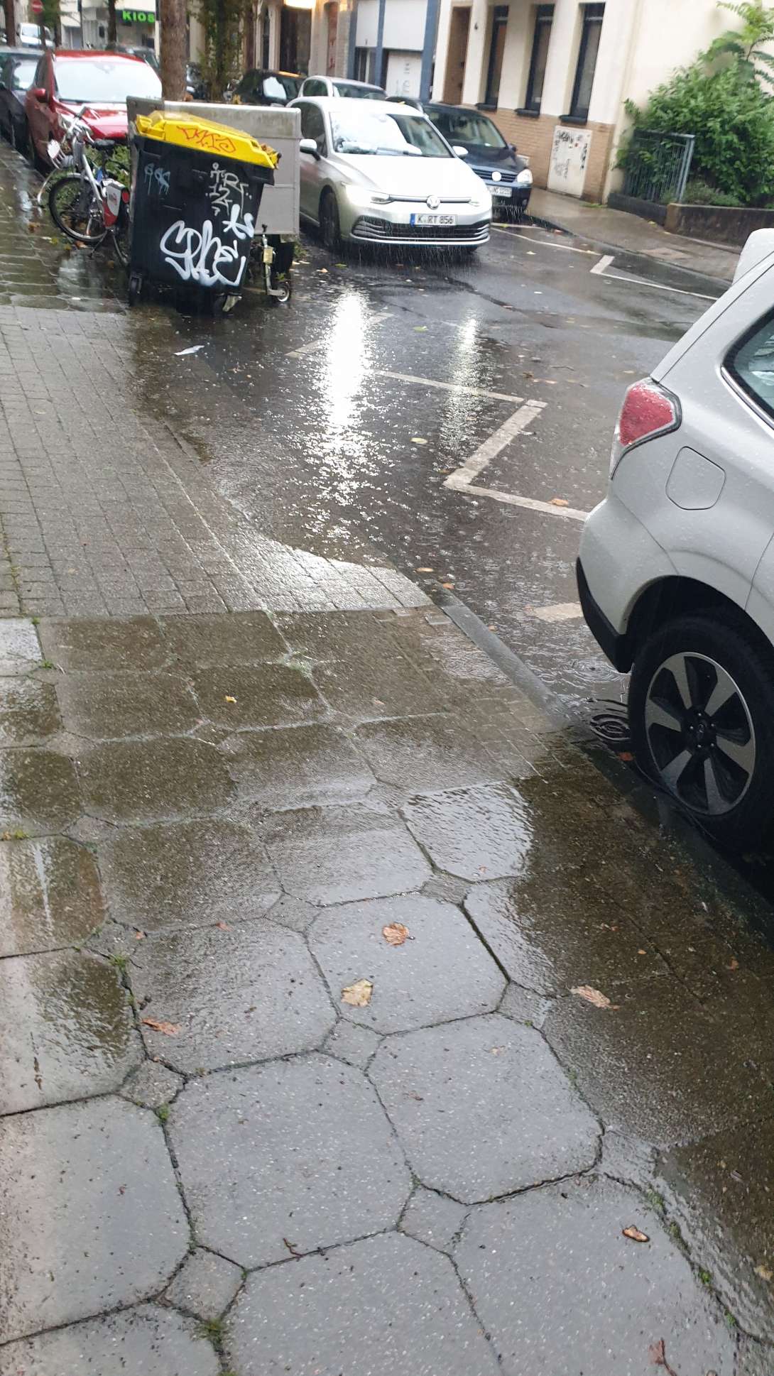 Dieser Gulli läuft seit Jahren extrem langsam ab.