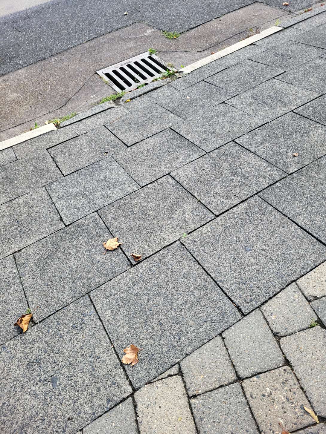 Bild zu gemeldetem Anliegen vom *2025-09-11 11:12:57