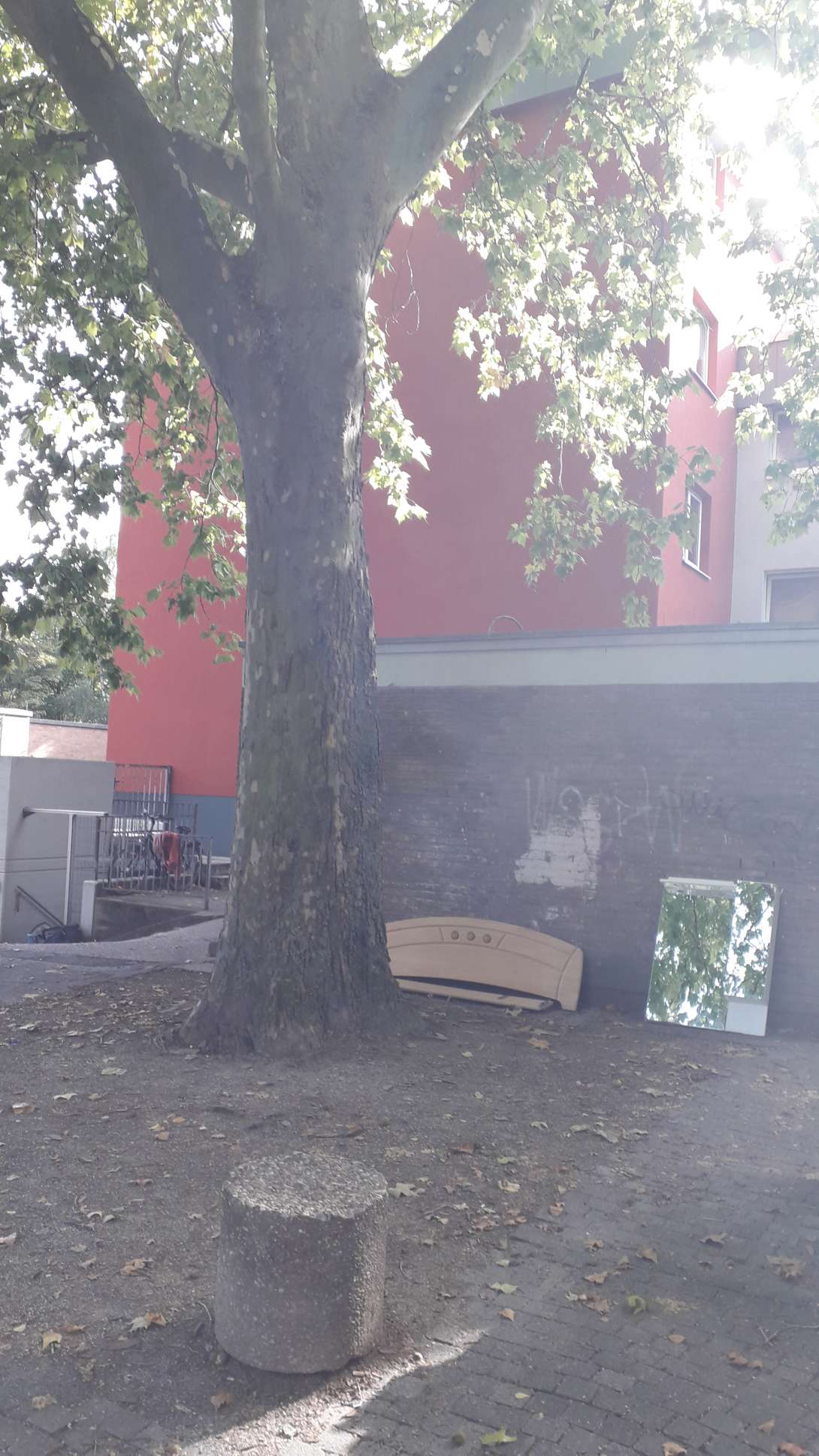 Bild zu gemeldetem Anliegen vom *2025-09-14 18:42:15