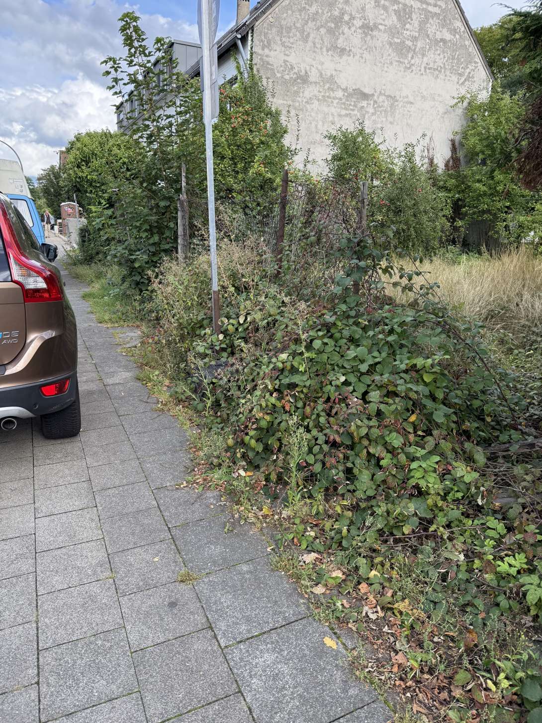 Bild zu gemeldetem Anliegen vom *2025-09-13 16:21:50