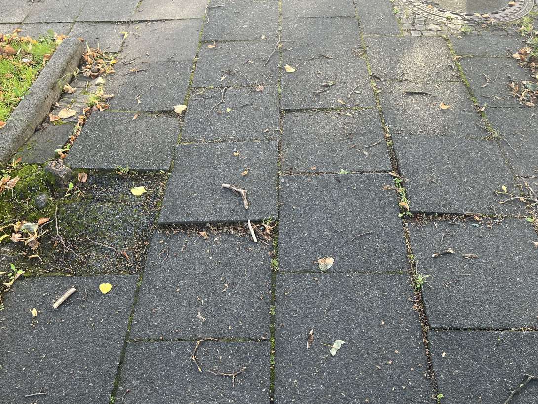 Bild zu gemeldetem Anliegen vom *2025-09-15 12:55:29