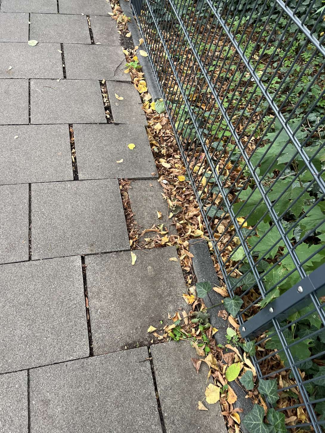Bild zu gemeldetem Anliegen vom *2025-09-27 01:14:42