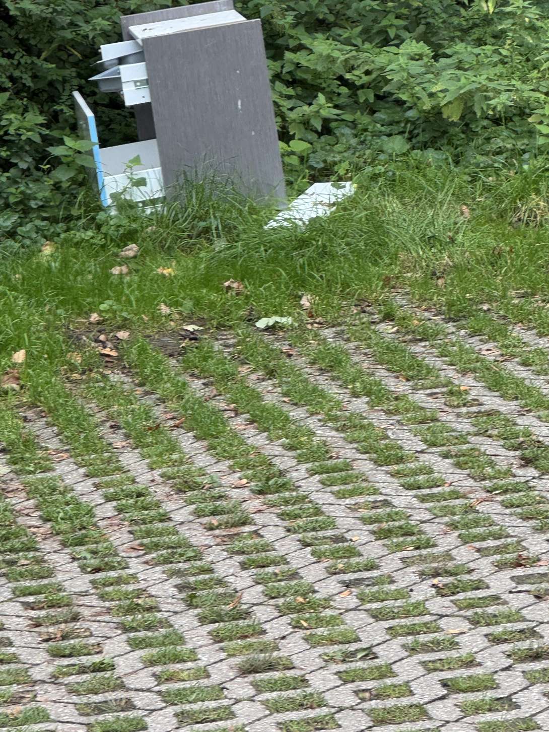 Bild zu gemeldetem Anliegen vom *2025-09-17 12:42:09