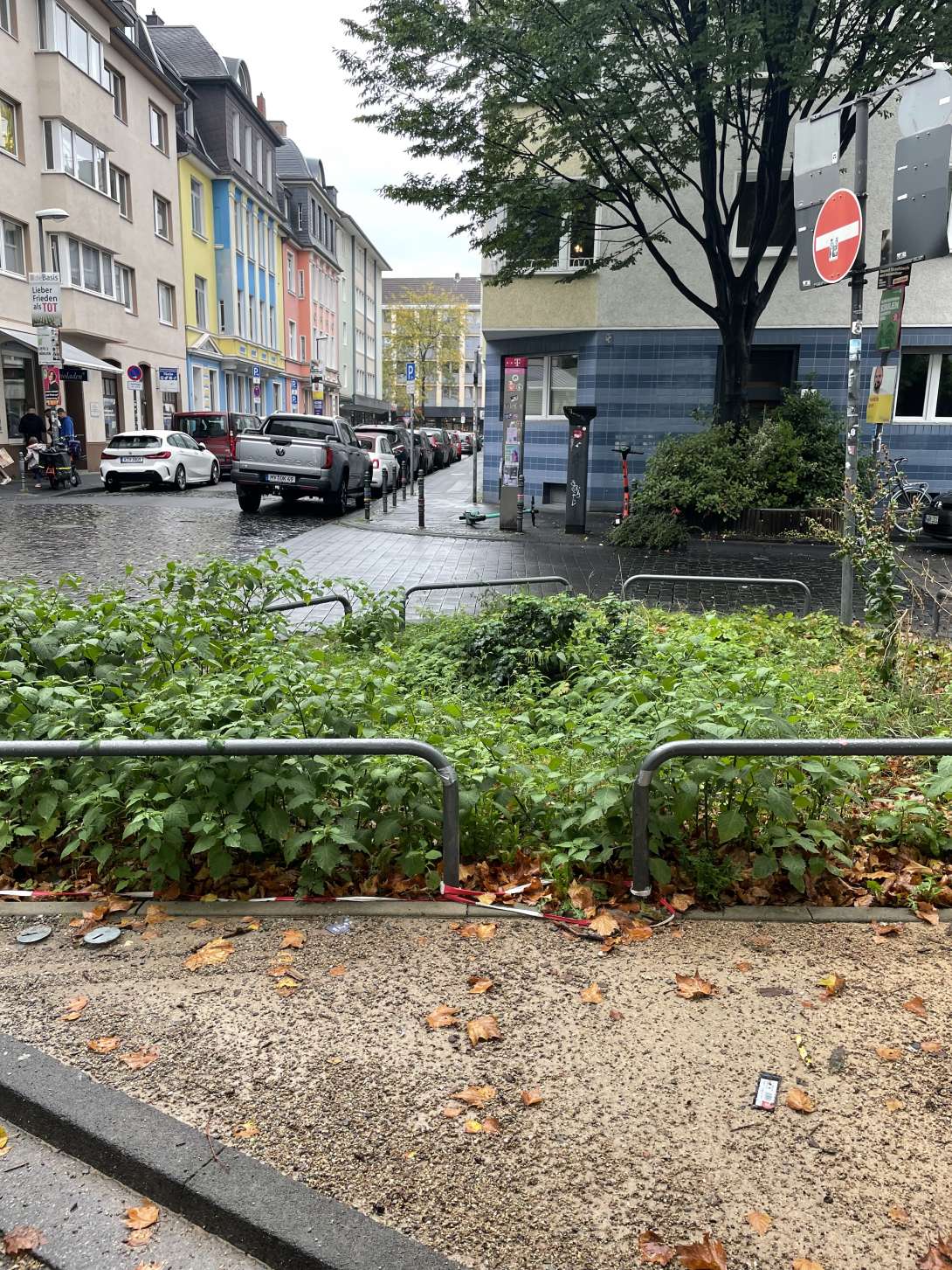Bild zu gemeldetem Anliegen vom *2025-09-09 17:40:29