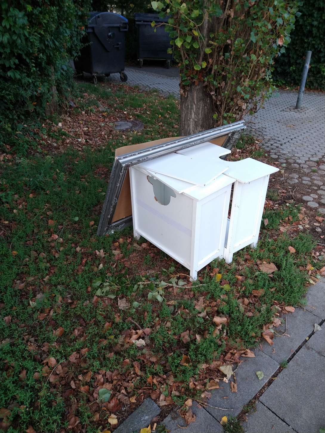 Bild zu gemeldetem Anliegen vom *2025-09-10 20:30:33