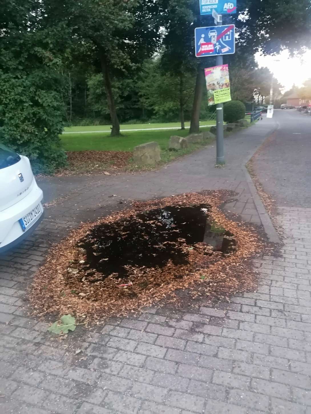 Bild zu gemeldetem Anliegen vom *2025-09-15 20:02:37