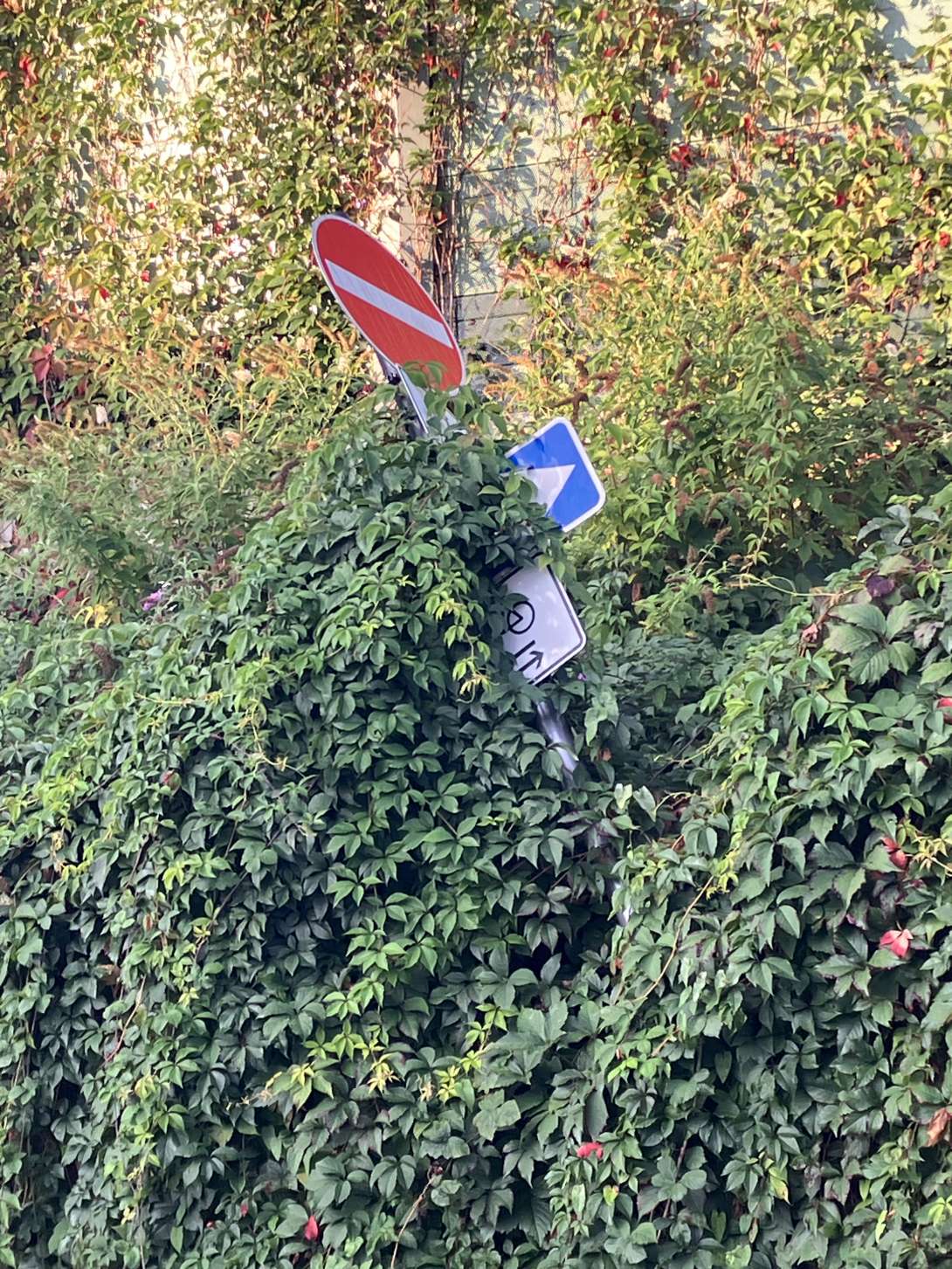  zu gemeldetem Anliegen vom *2025-09-06 06:32:29