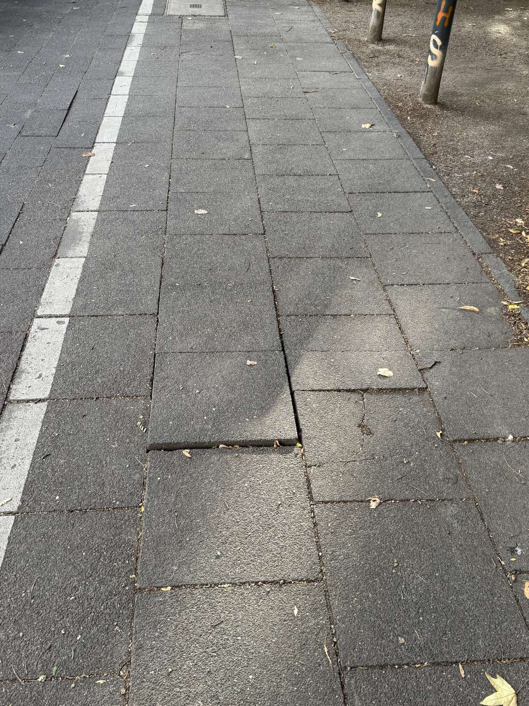 Bild zu gemeldetem Anliegen vom *2025-09-03 18:36:14