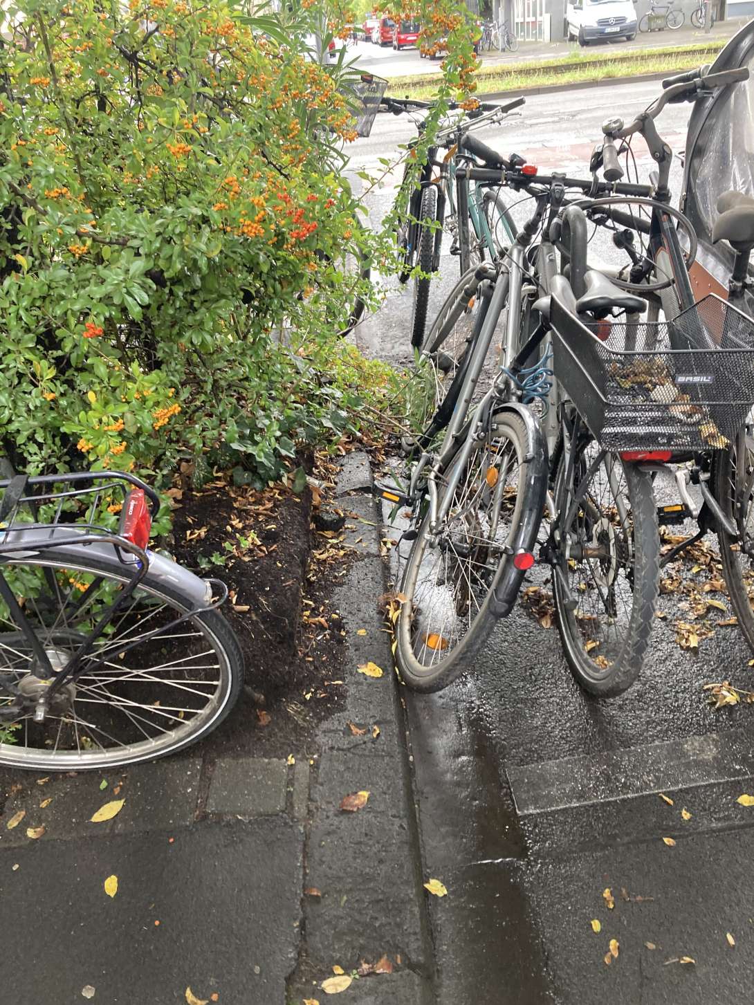 Die beiden zusammengeschlossenen Räder sind seit ein paar Monaten da und wurden seit dem nicht mehr bewegt.